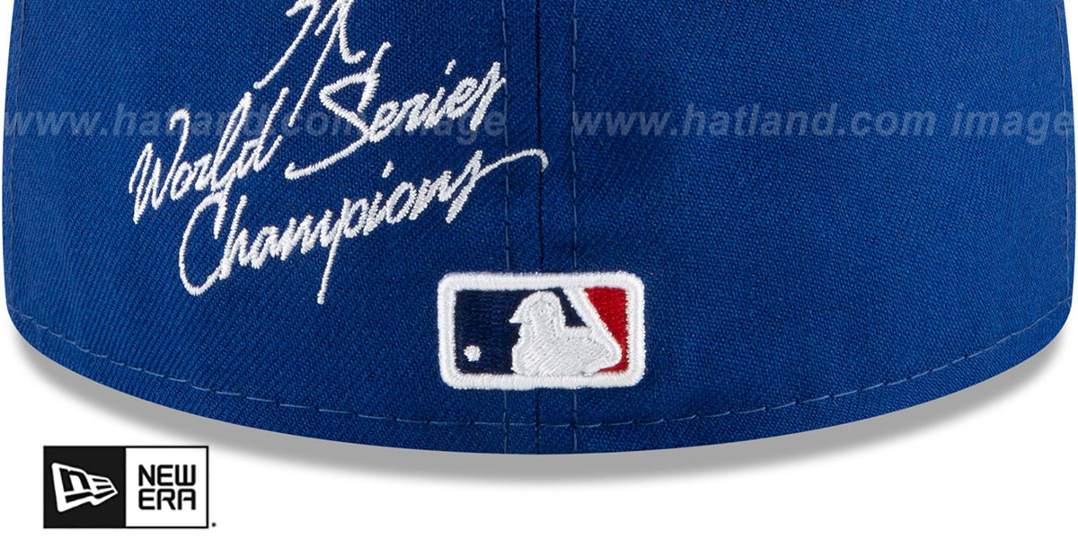 Cubs 'WORLD SERIES CHAMPS ELEMENTS' Royal Fitted Hat by New Era